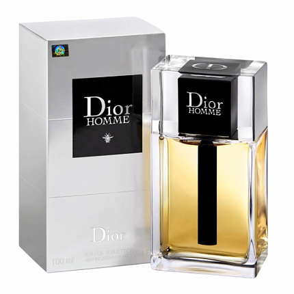 Мужская туалетная вода Christian Dior Homme (Евро качество A-Plus Люкс)