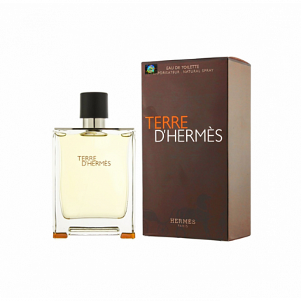Мужская туалетная вода Hermes Terre D'Hermes (Евро качество A-Plus Люкс)
